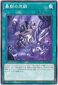 card_8069_
