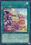 card_8206