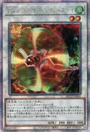 card_8855