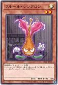 card_9082_series_5573_rarity_1_