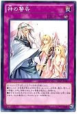 card_9270_series_19450_rarity_1_