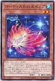 card_1045_