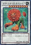 card_10012_