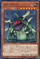 card_10576_