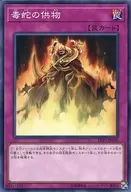 card_10613