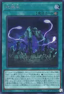 card_1248
