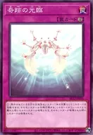 card_11202