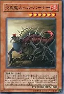 card_11369
