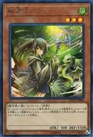 card_11523
