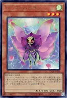 card_1369