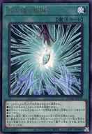 card_187
