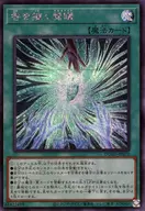 card_187