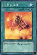 card_12030