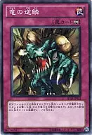 card_12467_series_20932_rarity_1_