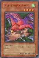 card_12513
