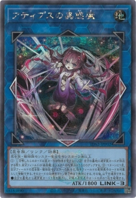 card_1519