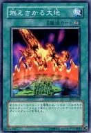 card_12655_series_30737_rarity_1_