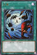 card_12863_series_29404_rarity_7_
