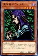 card_13021_series_9071_rarity_1_