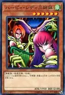card_13236_