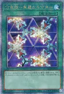 card_13243