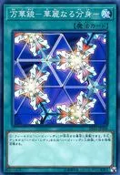 card_13243_series_9649_rarity_1_