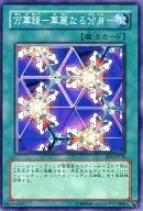 card_13243_series_28960_rarity_1_