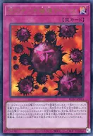 card_13257