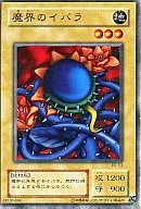 card_13346