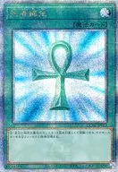 card_13406