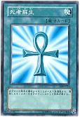 card_13406_series_5437_rarity_1_