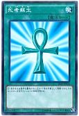 card_13406_series_12519_rarity_2_