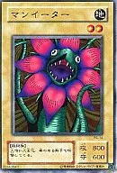 card_13427