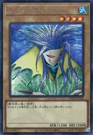 card_13442_series_29404_rarity_5_