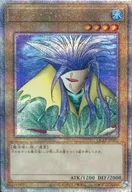 card_13442