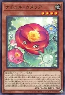 card_1764