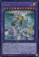 card_1797