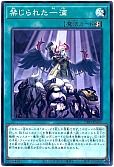 card_3202_series_38912_rarity_1_