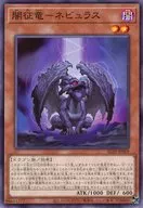 card_262