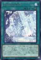 card_284