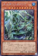 card_2234