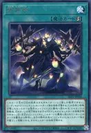 card_300