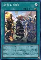 card_2324