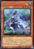 card_2383