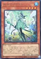 card_2404