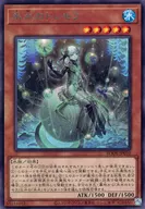 card_2406
