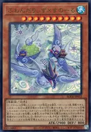 card_2412