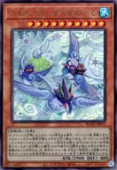 card_2412