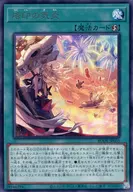 card_2433