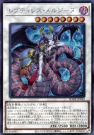 card_2440